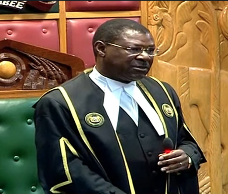 Wetang'ula to MPs: Observe decorum as DP defends self